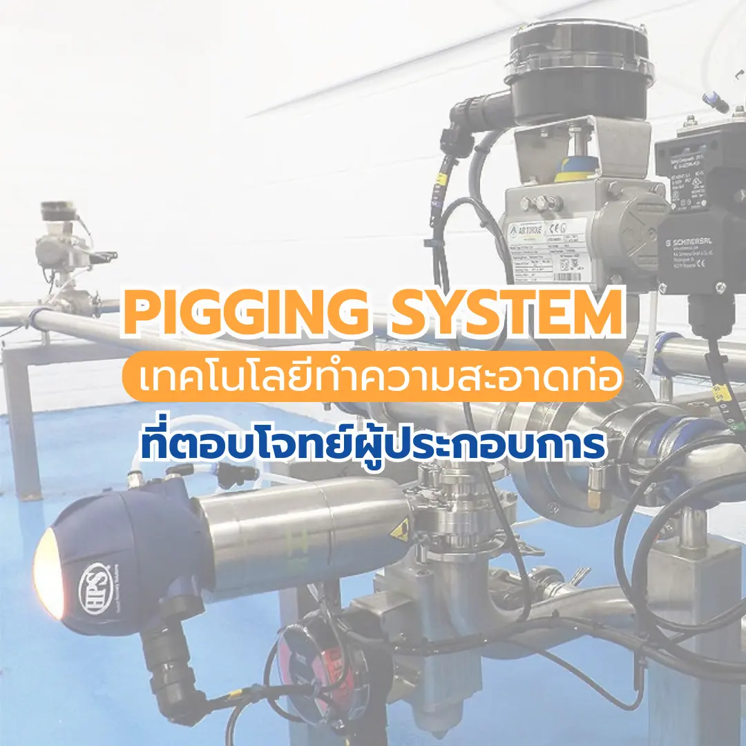 PIGGING SYSTEM