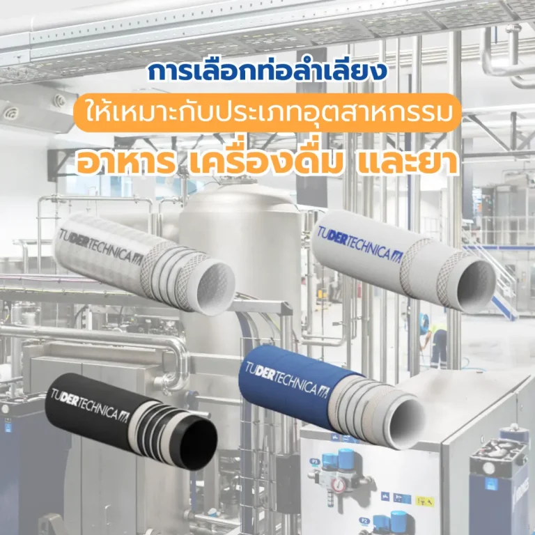 ท่อลำเลียงอาหาร