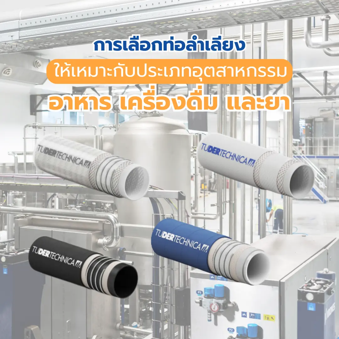 ท่อลำเลียงอาหาร