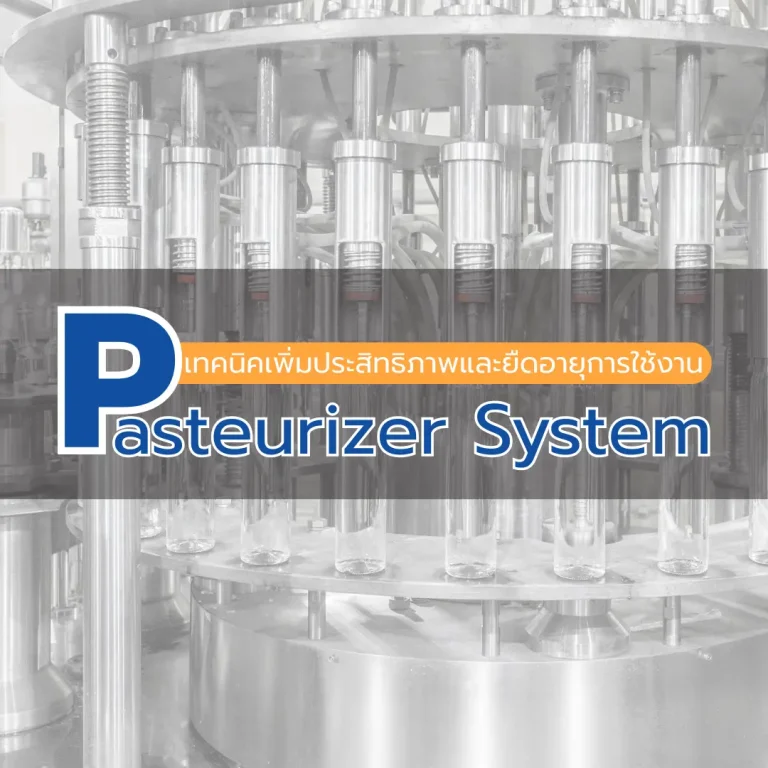 Pasteurizer System