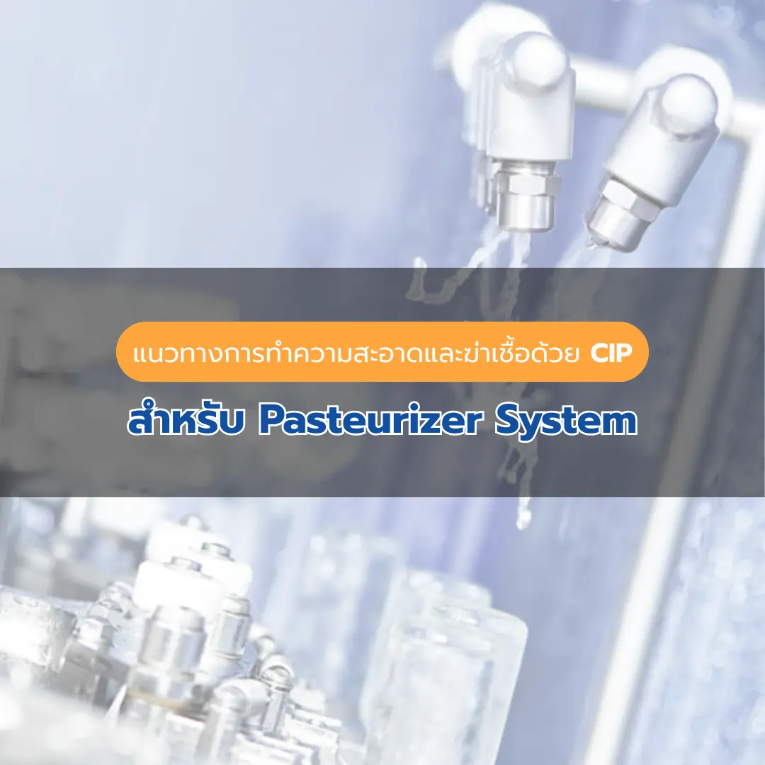 Pasteurizer System
